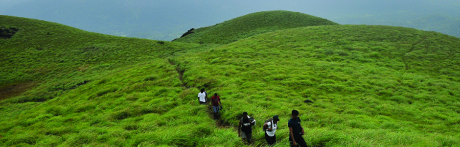 Kerala Green valley 4N/5D – ROTC Holidays